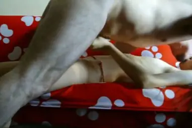 Bokep Ukhti Jilbab Ganas Lulusan Pesantren Liar